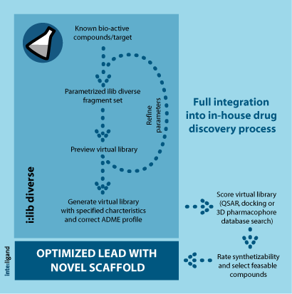 ilib diverse workflow — designed for several efficient feedback cycles