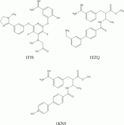 Figure 1 — Factor Xa inhibitor templates