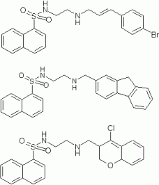 Figure 1 — Template molecules derived from H-89